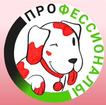 Профессионалы